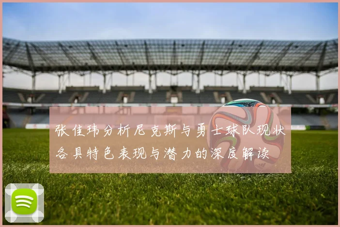 张佳玮分析尼克斯与勇士球队现状各具特色表现与潜力的深度解读